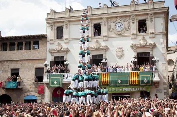 Castellers (insan kuleleri) Vilafranca 2013 yılında