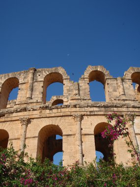 Windows Coliseum