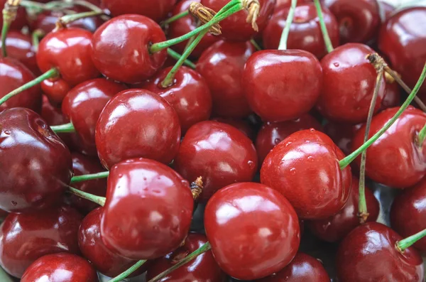 Cherries — Stock Photo, Image