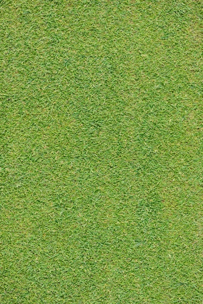 Идеальная трава — стоковое фото