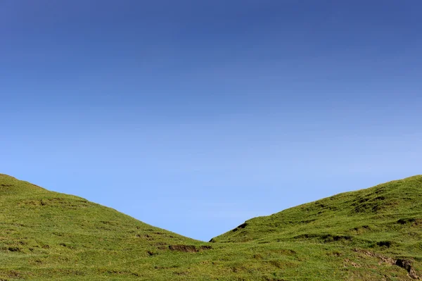 緑の草の青い空 — ストック写真