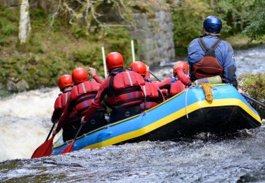 ekip çalışması Sal