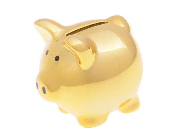 Pound in golden pig — Stock Photo, Image