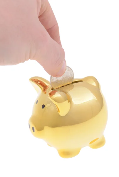 Pound in golden pig — Stock Photo, Image