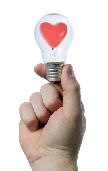 Holding light bulb — Stock Photo, Image