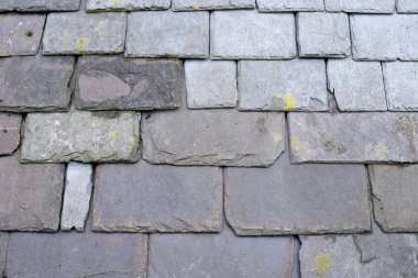 Sayfa Çatı