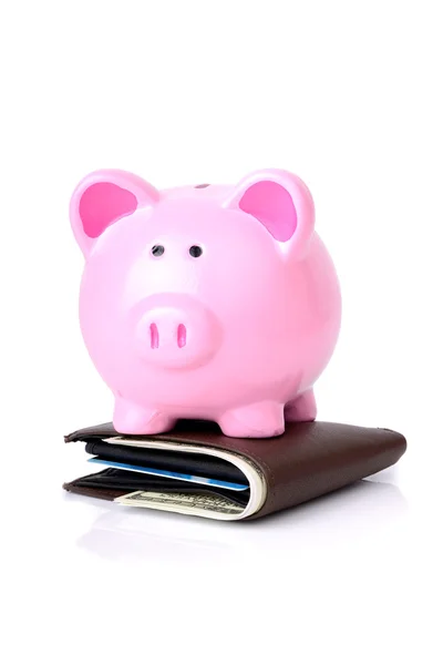 Piggy bank wallet — Stock Photo, Image