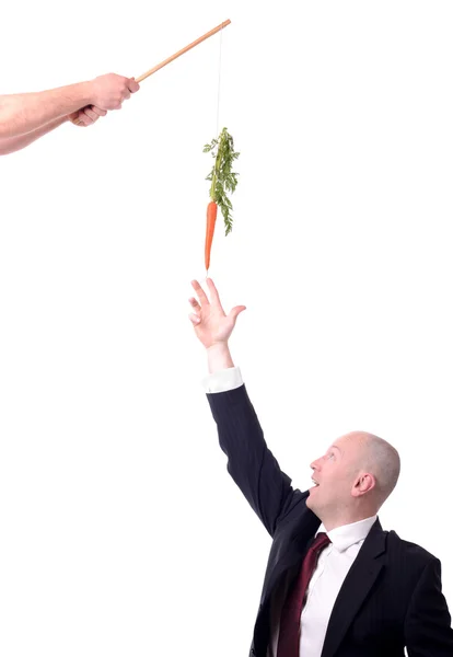 Motivation carrot — Stock Photo, Image