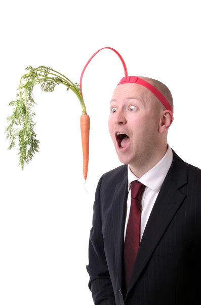 306 Motivation Carrot Stick Pictures Motivation Carrot Stick Stock Photos Images Depositphotos 306 Motivation Carrot Stick Pictures Motivation Carrot Stick Stock Photos Images Depositphotos