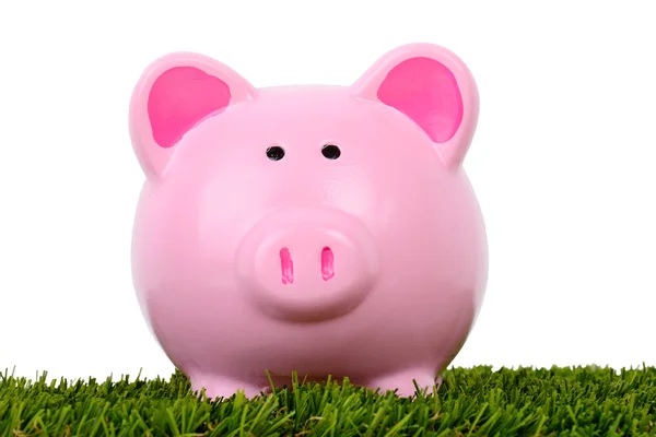 Piggy bank grass always greener — Stock Photo, Image