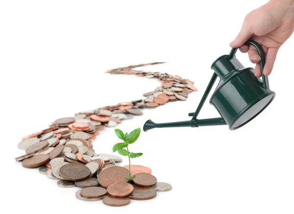 Making your money grow — Stock Photo, Image