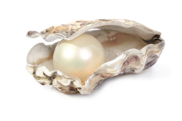 Oyster and pearl — Stock Photo, Image