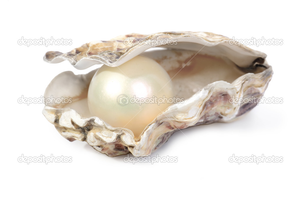 Oyster and pearl