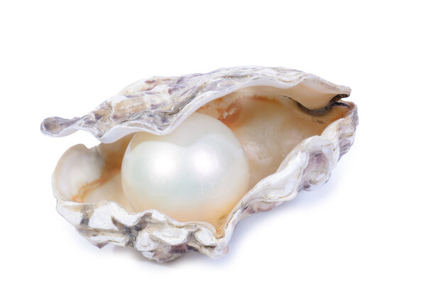 Oyster and pearl