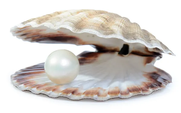 富裕的珍珠 — 图库照片