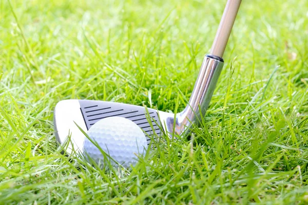 Golf ball in the rough problem shot — Stock Photo, Image