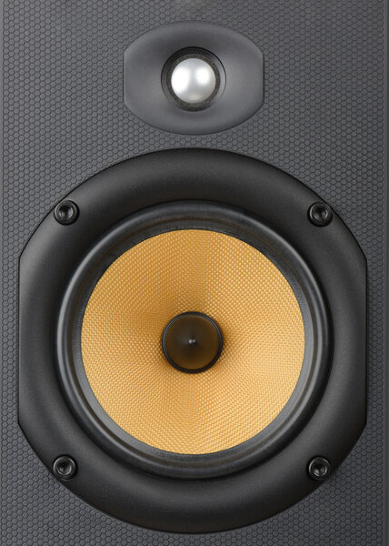 Close up of high end audio speaker
