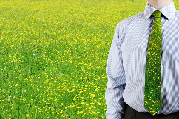 Zakenman stond in groene veld — Stockfoto