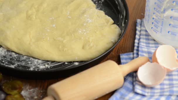 Bolo de migalhas em uma panela de pão com farinha caindo pronta para assar bolo de ameixa — Vídeo de Stock