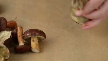 yabani mantar bıçakla temizlenir