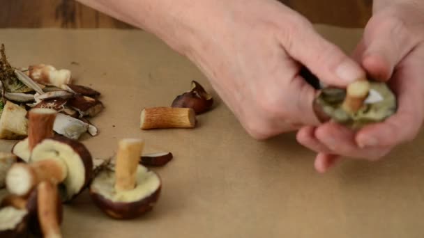 Wilde paddestoelen worden schoongemaakt met een mes — Stockvideo