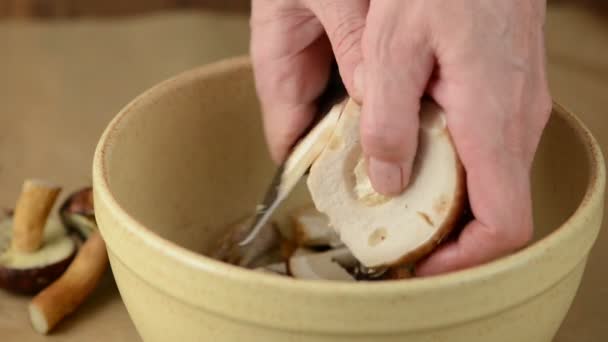 Wild mushrooms are cleaned with a knife and cut into small pieces in a bowl. — Stock Video