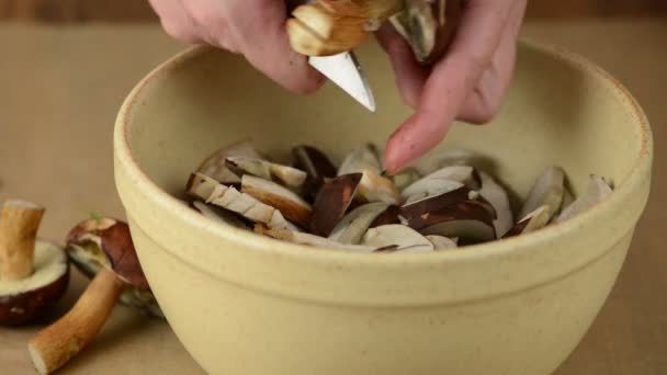 Wild mushrooms are cleaned with a knife and cut into small pieces in a bowl. — Stock Video