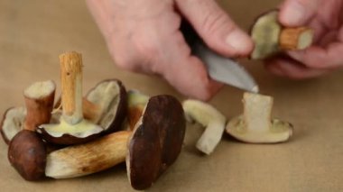 yabani mantar bıçakla temizlenir