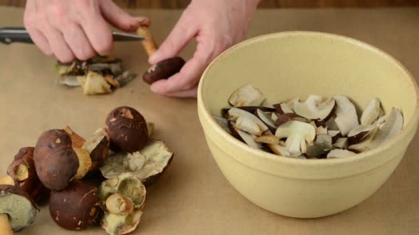 Wild mushrooms are cleaned with a knife and cut into small pieces in a bowl. — Stock Video