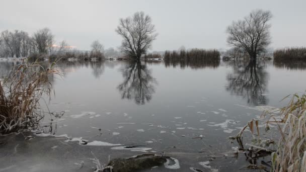 Paisagem de inverno no rio Havel (Brandemburgo - Alemanha ) — Vídeo de Stock