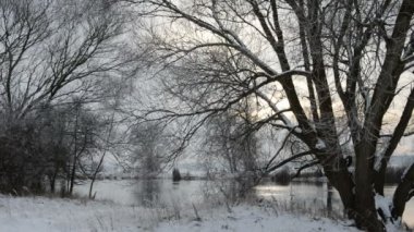 Kış manzara Havel River (Brandenburg - Almanya)