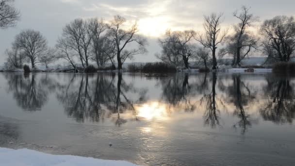 Paisaje invernal en el río Havel (Brandeburgo - Alemania ) — Vídeo de stock