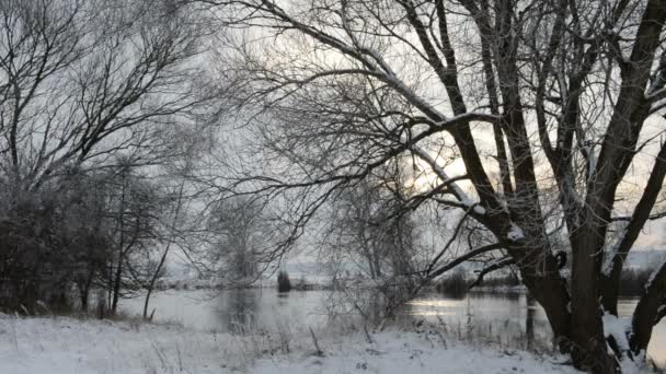 Kış manzara Havel River (Brandenburg - Almanya) — Stok video