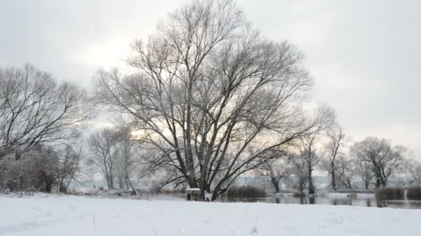 Winterlandschap bij Havel rivier (Brandenburg - Duitsland) — Stockvideo