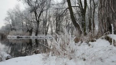Kış manzara Havel River (Brandenburg - Almanya)