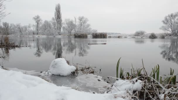 Зимовий пейзаж на річці Хафель (Бранденбург - Німеччина) — стокове відео