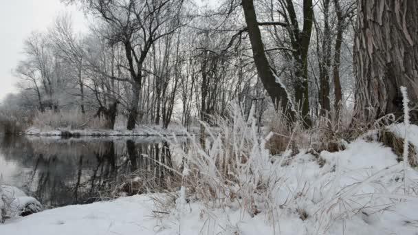 Paysage hivernal à La Havelle (Brandebourg - Allemagne )