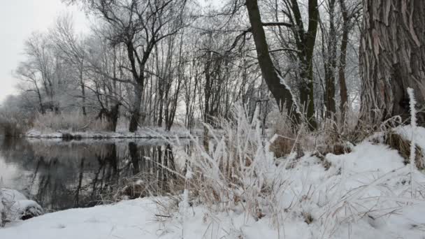 Paisaje invernal en el río Havel (Brandeburgo - Alemania ) — Vídeos de Stock