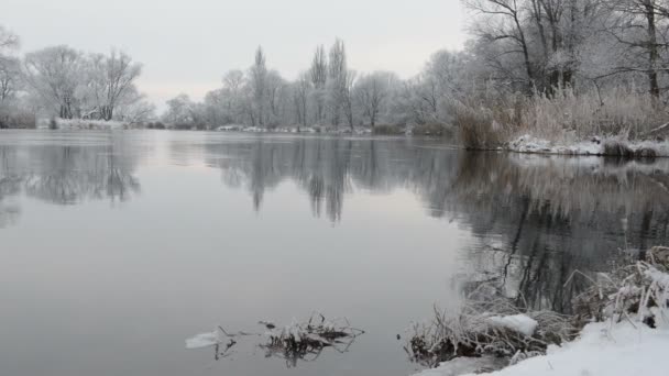 Winter landscape at Havel River (Brandenburg - Germany) — Stock Video