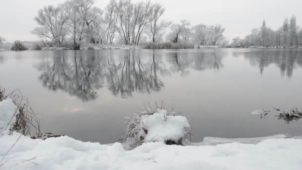 在哈维尔河 (勃兰登堡-德国冬季景观) — 图库视频影像