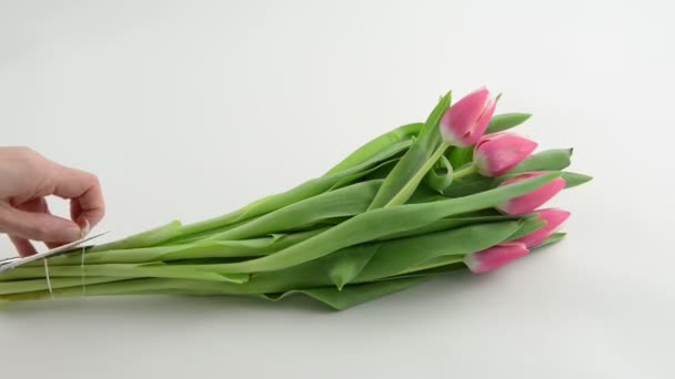 The stems of the tulips bouquet are cut off with scissors — Stock Video