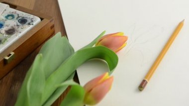 Lale aquarel suluboya resim çizmeye hazırlanıyor. Sulu Boya kutusunu açarak ve kağıt üzerinde fırça koymak