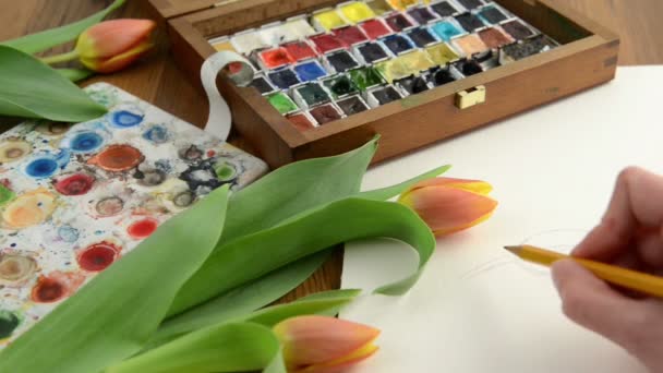 Dibujar tulipán con un lápiz y pintar en acuarela. Caducidad — Vídeos de Stock