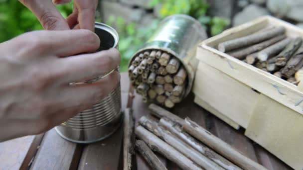 Filling box with blackberry sticks to build insect shelter — Stock Video