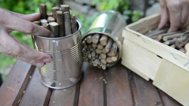 Filling box with blackberry sticks to build insect shelter — Stock Video