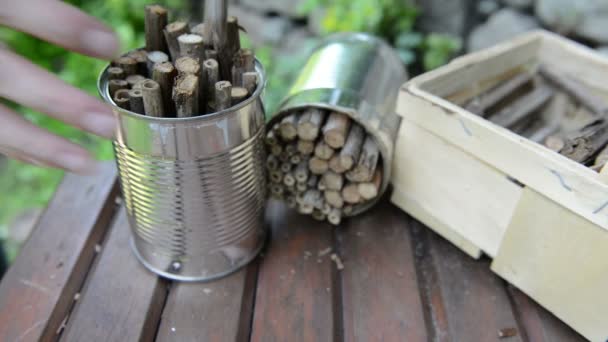 Caja de llenado con palitos de mora para construir refugio para insectos — Vídeo de stock