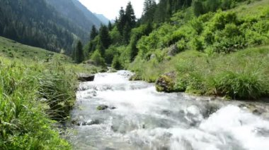 Akış su ve schwarzach Vadisi'nin zillertal alps, peyzaj