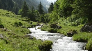 Akış su ve schwarzach Vadisi'nin zillertal alps, peyzaj