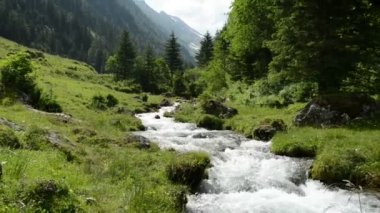 Zoom akış su ve schwarzach Vadisi'nin zillertal alps, manzara