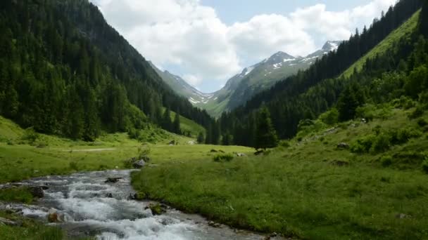 Zillertalské Alpy time-lapse proudu vody — Stock video